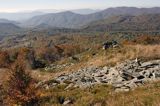 Bieszczady, na Rozsypańcu