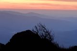 na Połoninie Wetlińskiej, Bieszczady