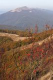 Na Bukowym Berdzie, Bieszczady