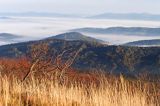 Na Bukowym Berdzie, Bieszczady