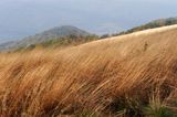 Na Bukowym Berdzie, Bieszczady