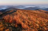 Na Bukowym Berdzie, Bieszczady