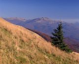 na połoninie Caryńskiej, Bieszczady