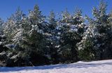 Zimowe Bieszczady, Bieszczady, Polska