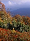 Połonina Wetlińska i Rawki, Bieszczadzki Park Narodowy, Bieszczady, Polska