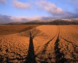 Pola pod Besidą, Bieszczady, Polska