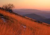 Na stoku Tarnicy, Bieszczady, Polska