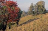 Bieszczady, Serednie