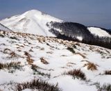 na Połoninie Caryńskiej, Bieszczady