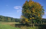 Bieszczady