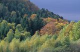 Bieszczady