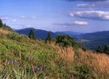 na Połoninie Caryńskiej, widok na Dolinę Wołosatego, Bieszczady