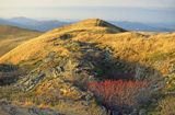 Na Tarnicy, Bieszczady, Polska