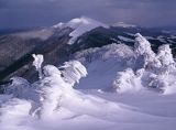 na Połoninie Wetlińskiej, widok na Połoninę Caryńską, Bieszczady