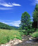 Bieszczady, potok Hulski, Park Krajobrazowy Doliny Sanu