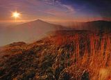 Świt na Połoninie Wetlińskiej, widok na Caryńską, Bieszczady