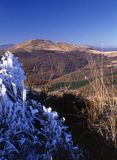 Widok na Tarnicę z Rozsypańsca, Bieszczady