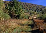 Bieszczady, droga pod Wetlińską