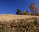 Paniszczew, Bieszczady