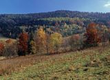 Jaworniki, Bieszczady, Polska, Europa