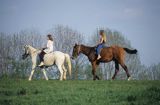 Ludzie na koniach w Bieszczadach, Polska