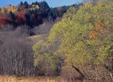 Bieszczady, Sokołowa Wola, pasmo żuków