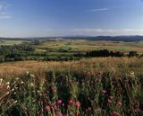 Bieszczady łąka koło wsi Bystre