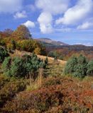 Caryńskie, Bieszczady