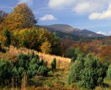 Caryńskie, Bieszczady