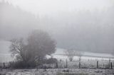 szron na łąkach, Bieszczady pod Jawornikami