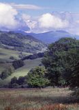 Bieszczady, widok z przełęczy Wyżnej w stronę Tarnicy, Bieszczadzki Park Narodowy