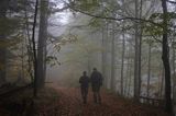 wędrówka niebieskim szlakiem przez las na Otrycie, Park Krajobrazowy Doliny Sanu, Bieszczady