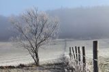 szron na łąkach, we mgle, Bieszczady pod Jawornikami