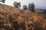 Rajskie, Bieszczady