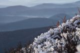 o świcie na Rozsypańcu, Bieszczady, Bieszczadzki Park Narodowy