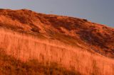 Tarnica o zachodzie słońca, Bieszczady