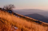 na stoku Tarnicy o zachodzie słońca, Bieszczady