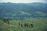 Bieszczady Przełęcz Orłowicza