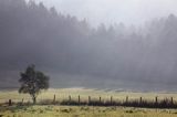 poranek, Bieszczady pod Jawornikami