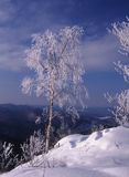 mroźny dzień, Dwernik Kamień, Bieszczady