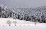 zima, Bieszczady