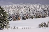 zima, Bieszczady