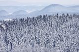 zima, Bieszczady, widok z Jaworników