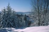 Bieszczady, na Jawornikach, okolice Czarnej k/Ustrzyk Dolnych