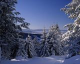 Bieszczady, na Jawornikach, nad wsią żłobek, okolice Czarnej k/Ustrzyk Dolnych