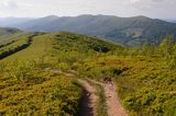 Bieszczady, panorama, na Wielkiej Rawce, widok na Połoninę Caryńską