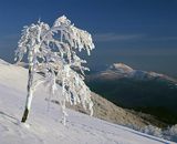 Na połoninie Caryńskiej, Bieszczady, Bieszczadzki Park Narodowy