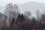 jesienny pejzaż, Bieszczady