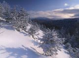 Bieszczady Dwernik Kamień