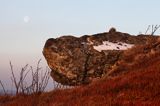 skała hipopotam, Bukowe Berdo, Bieszczady